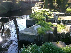 DSCN6361 DSCN6361