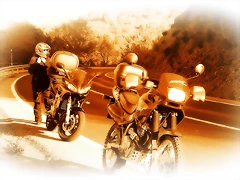 IMG_3446 IMG_3446