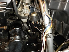 DSCN5844 DSCN5844