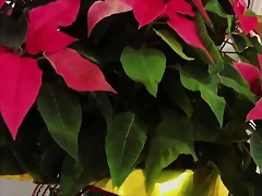 Video Mar?a IG Stories 22-11-2019 (1) Video Mar?a IG Stories 22-11-2019 (1)