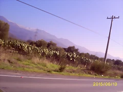 S5036963