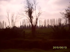 S5036958