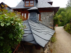 DSCN1096 DSCN1096