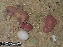 FB_IMG_1574040288064 FB_IMG_1574040288064