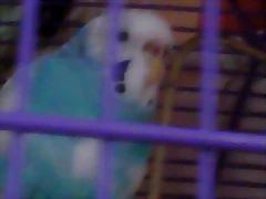 2014-05-19 16.36.55