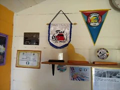 IMG-20191201-WA0053 IMG-20191201-WA0053