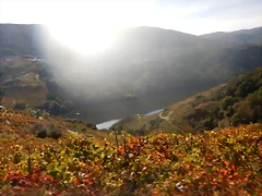 DSCN4654 DSCN4654