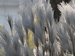 Zoo Barcelona 23-11-11 i 25-11-11 167