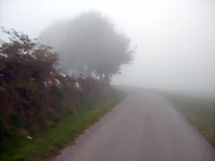 DSCN9391 DSCN9391