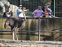 Zoo Barcelona 23-11-11 i 25-11-11 184