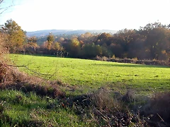 DSCN9375 DSCN9375