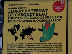 Zoo Barcelona 23-11-11 i 25-11-11 237