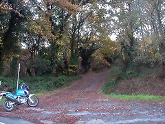 DSCN9382 DSCN9382