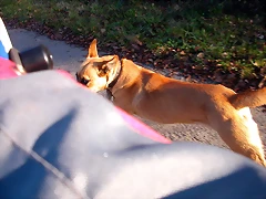 DSCN9377 DSCN9377