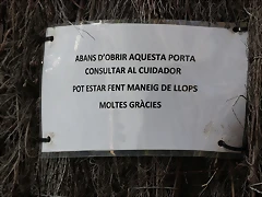 Zoo Barcelona 23-11-11 i 25-11-11 138