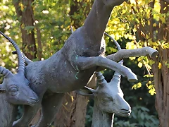 Zoo Barcelona 23-11-11 i 25-11-11 166