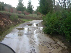 DSCN5343 DSCN5343