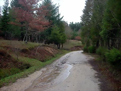 DSCN5338 DSCN5338