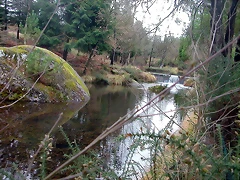 DSCN5348 DSCN5348