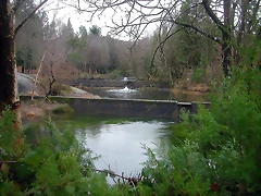 DSCN5344 DSCN5344