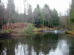 DSCN5341 DSCN5341