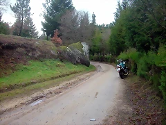 DSCN5349 DSCN5349