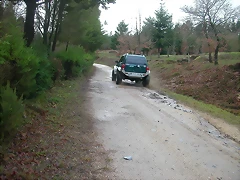 DSCN5346 DSCN5346