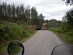 DSCN2720 DSCN2720