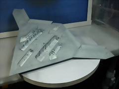 P1100025