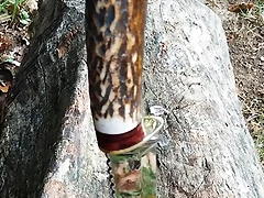 IMG_20180920_151748