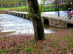 089-IMG_3688 089-IMG_3688