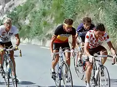 Perico-Tour1983-Fignon-Van Impe-Patrocinio