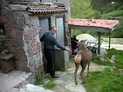 DSCN4656 DSCN4656