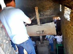 DSCN5231