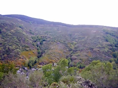 DSCN1237 DSCN1237