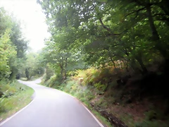 IMG_0379 IMG_0379