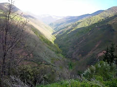 DSCN9115 DSCN9115