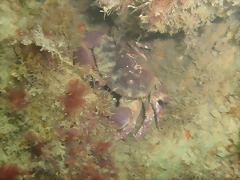 P7010020