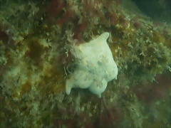 P7010007