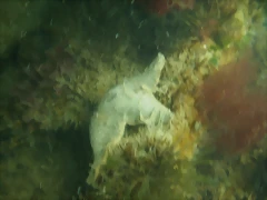 P7010010