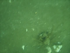 P7010019