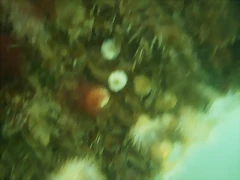 P7010014