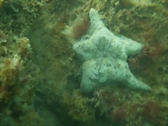 P7010016