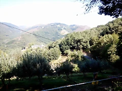 DSCN6980 DSCN6980