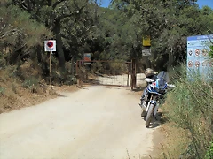 35