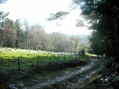 DSCN7481 DSCN7481