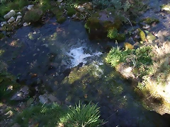 DSCF2097 DSCF2097