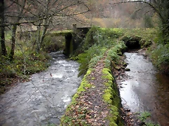 DSCN0998 DSCN0998