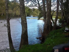 DSCN7502 DSCN7502