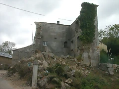 DSCN7495 DSCN7495